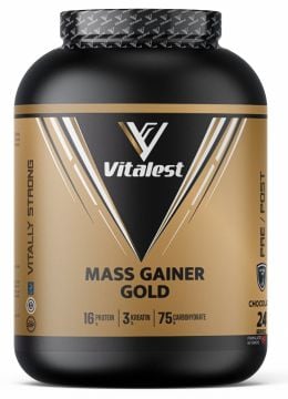 MASS GAİNER GOLD 2400GR - ÇİKOLATA