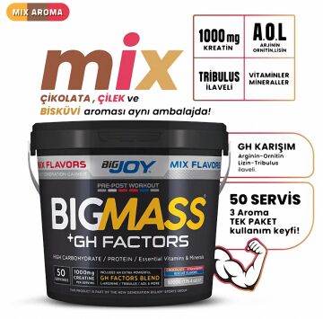 Big Joy Big Mass +GH Factors 5000 Gr Mix 3 Aroma