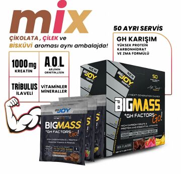 Big Joy Big Mass +GH Factors Go 5000 Gr 50 Saşe Mix 3 Aroma